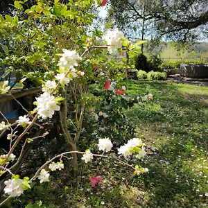 Cassia, Luminoso Open Space Nel , Casa Dei Leoni Appartamento